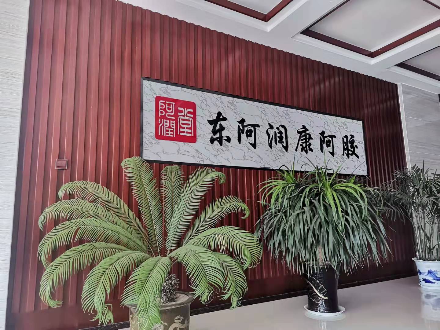 润康阿胶公司高标准生产型企业